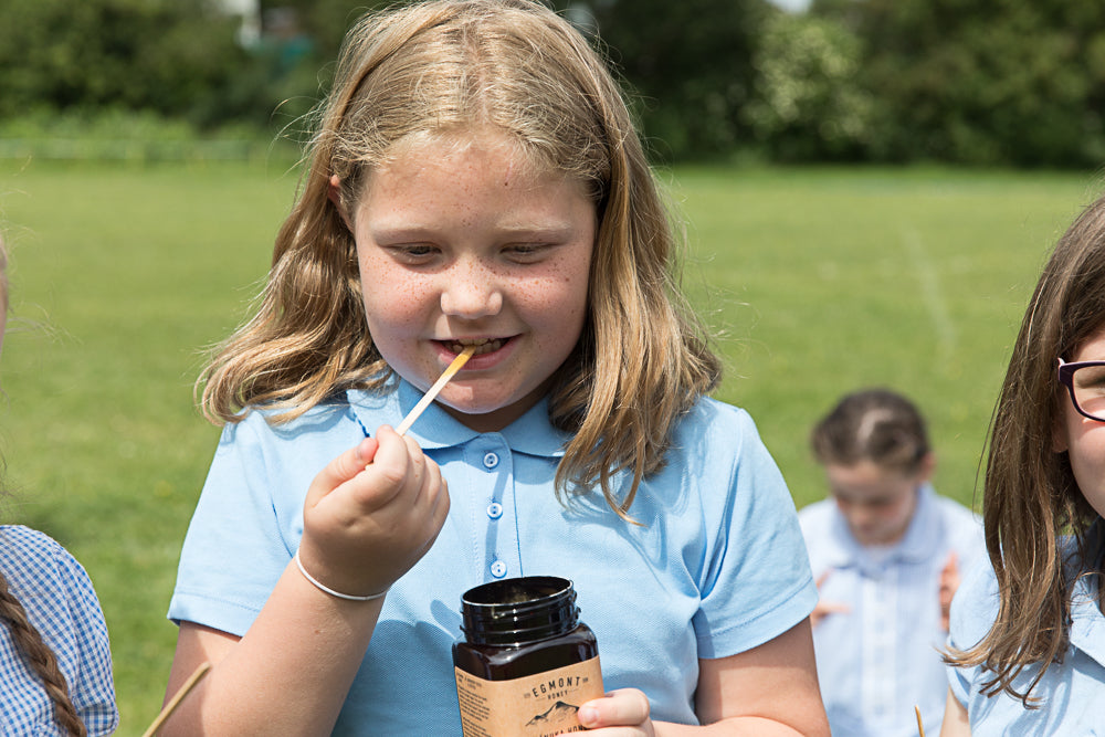 Egmont Honey supports UK school's bee initiative