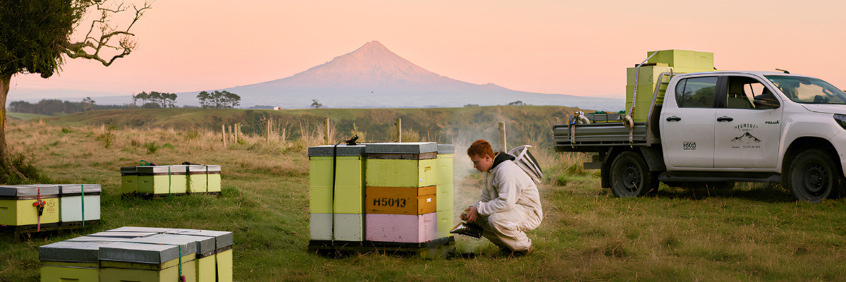 Certified MGO Mānuka Honey